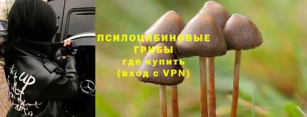 винт Алзамай