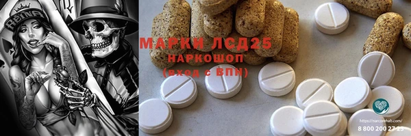 винт Алзамай