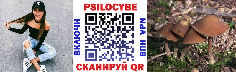 Галлюциногенные грибы ЛСД  сколько стоит  Красногорск 