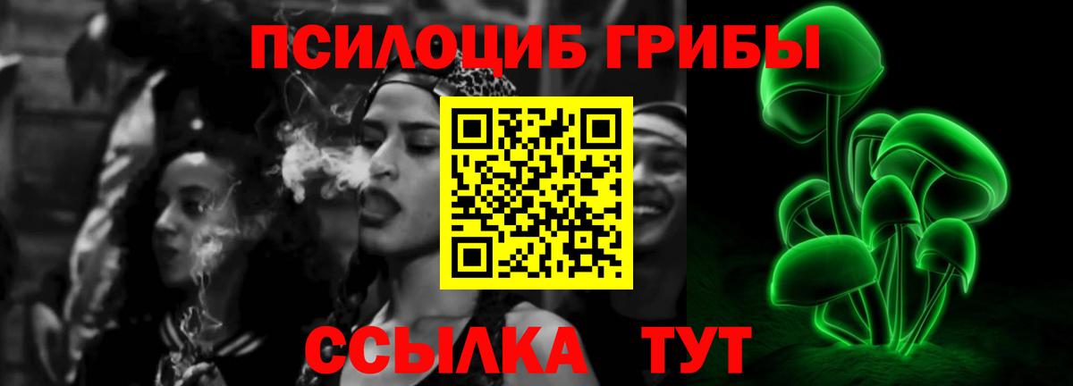 Красногорск  Псилоцибиновые грибы ЛСД  Вход с VPN  Псилоцибиновые грибы Cubensis 
