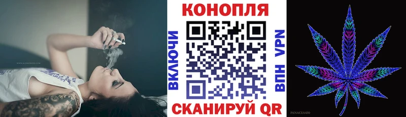 Конопля гибрид  где купить   Красногорск 